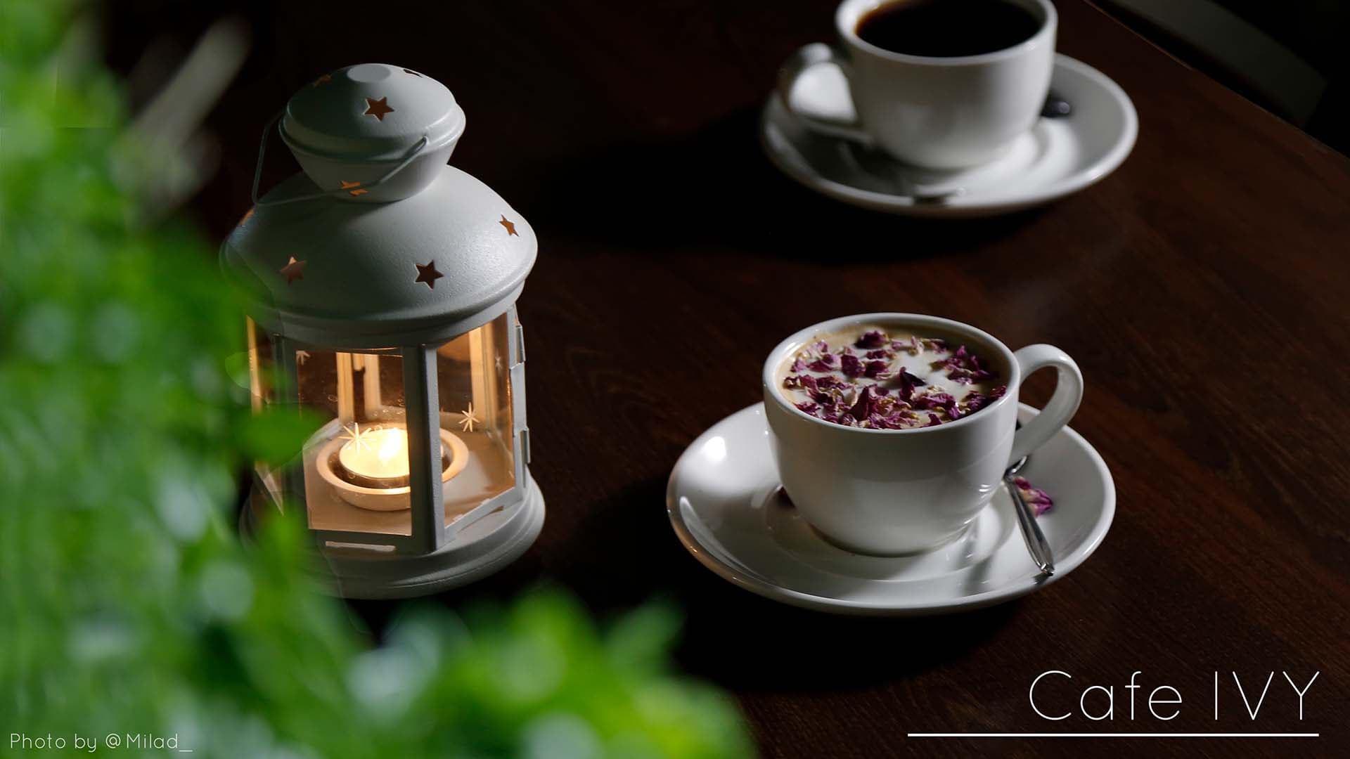 Cafe IVY (Shiraz) commercial photography