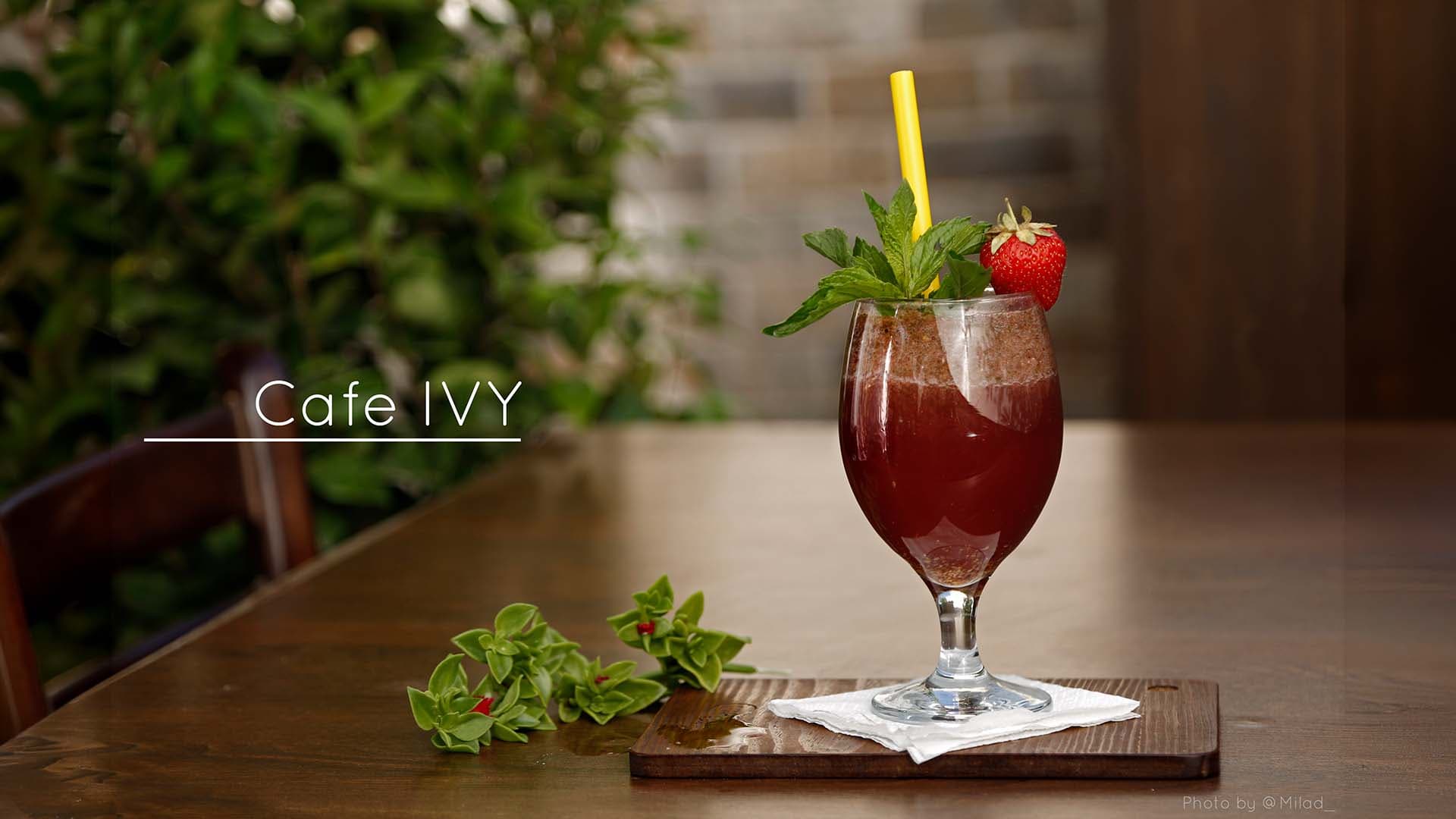 Cafe IVY (Shiraz) commercial photography