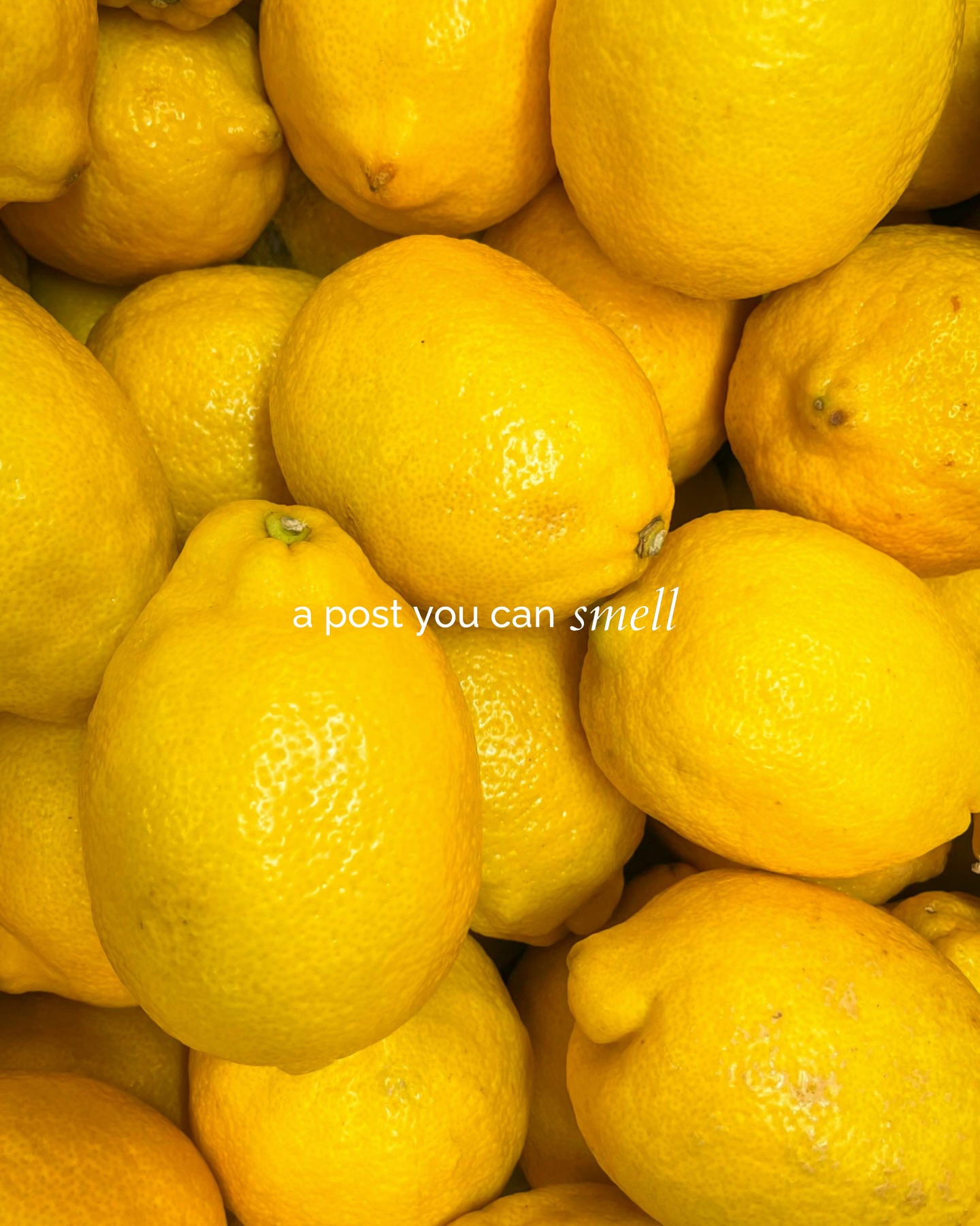 Aroma24/7 social media content production