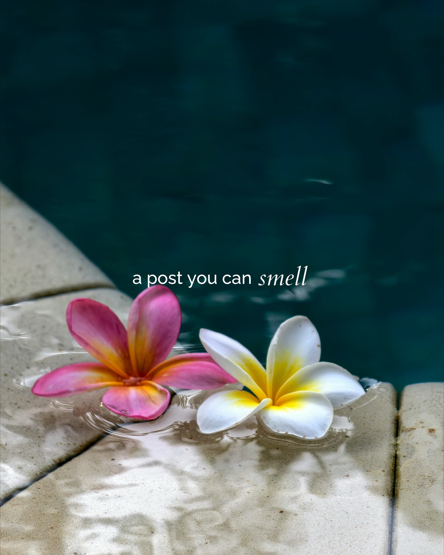 Aroma24/7 social media content production