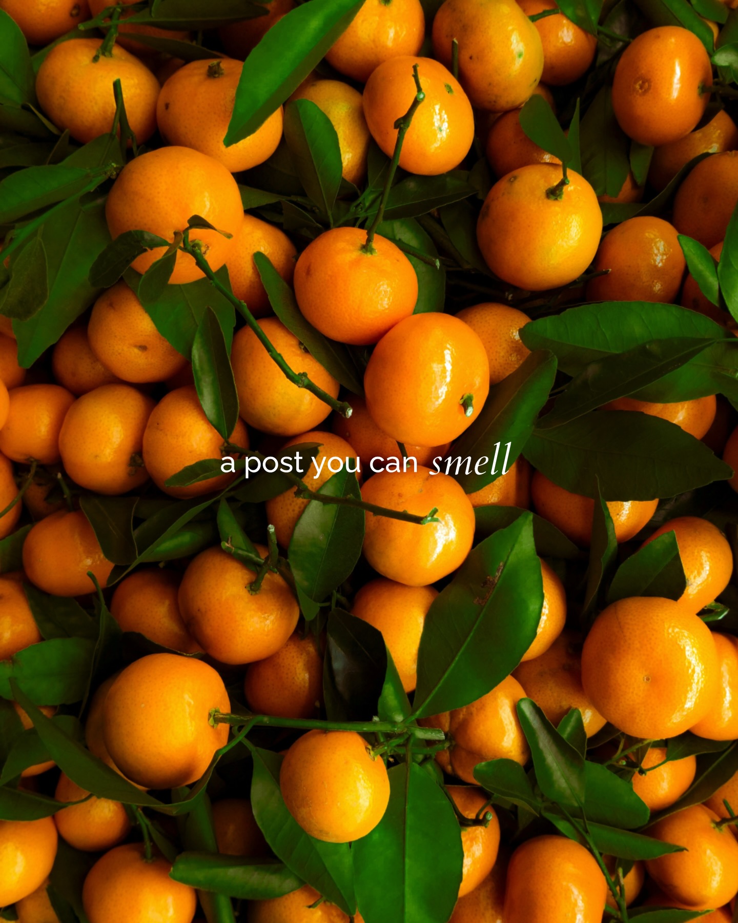 Aroma24/7 social media content production