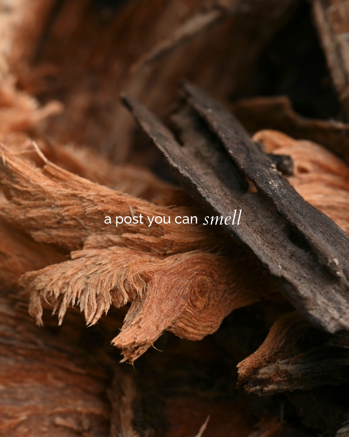 Aroma24/7 social media content production
