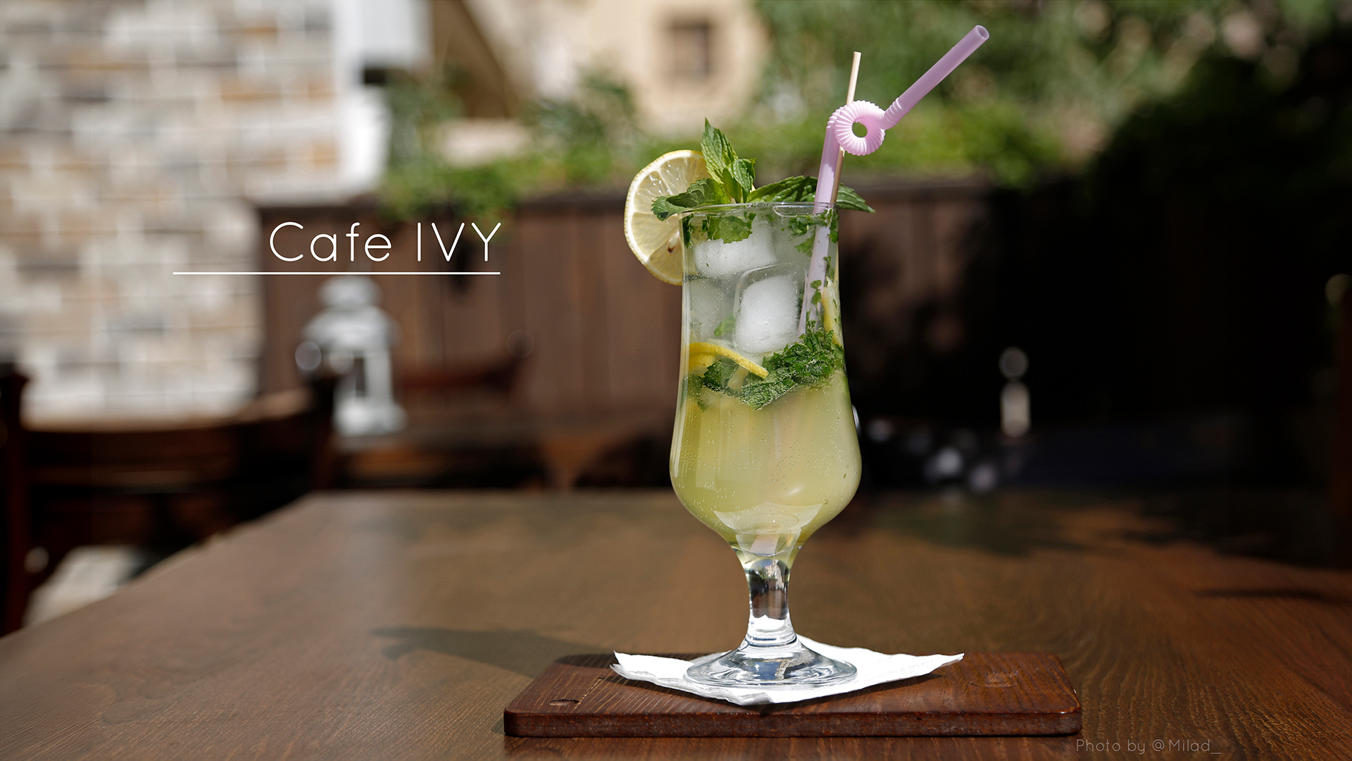 Cafe IVY (Shiraz) commercial photography